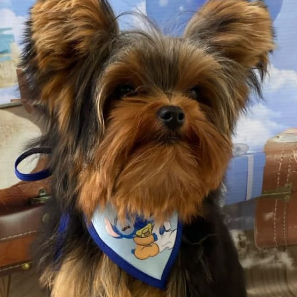 Eliza da Barra da Tijuca/RJ