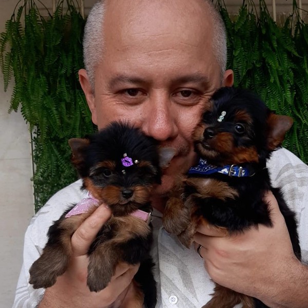 Rodrigo Niterói RJ