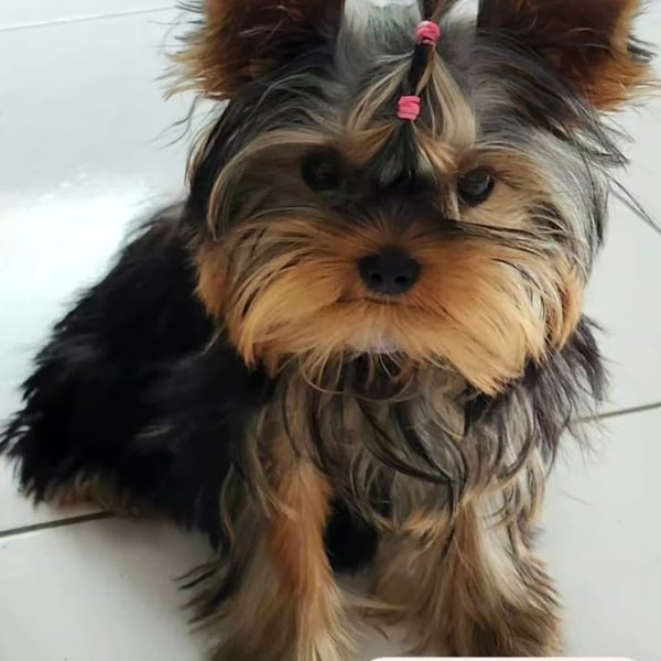 Ivana - Eunápolis/BA