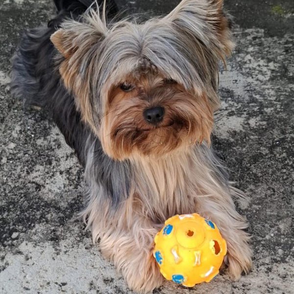 Dayse - Copacabana/RJ