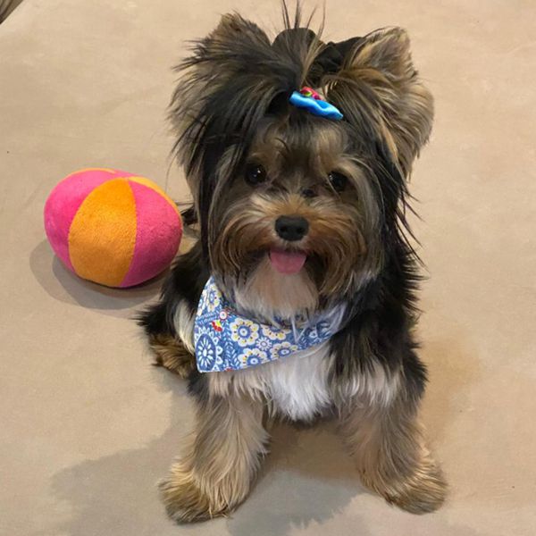 Tutora Juliana Biriba