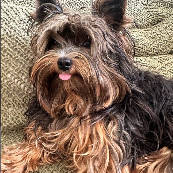 Luana Recreio dos Bandeirantes